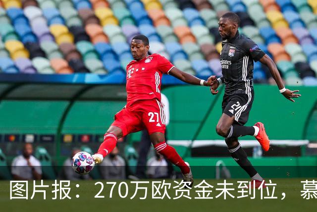 图片报：270万欧资金未到位，慕尼黑1860被取消德丙参赛资格